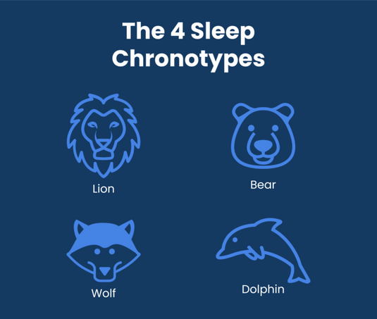 The 4 Sleep Chronotypes: Lion, Bear, Wolf & Dolphin